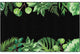 Flagship Carpets CA2014-28SG Simply Boho Greenery On Black