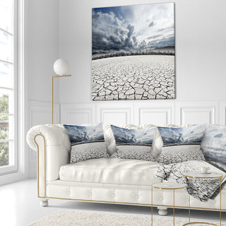 Desert Dreamscape Landscape Photo Throw Pillow, 16"x16"
