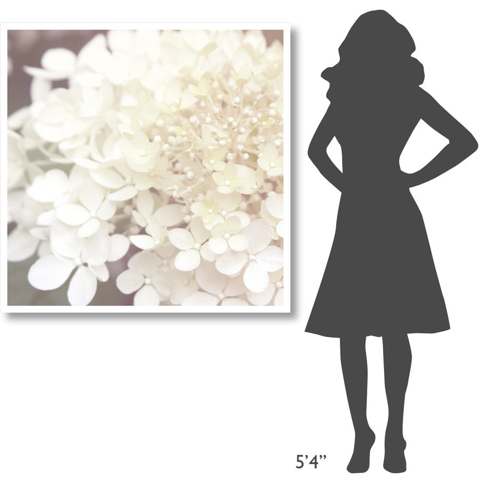"Hydrangea Dream II" Digital Paper Print by Laura Marshall, 42"x42"