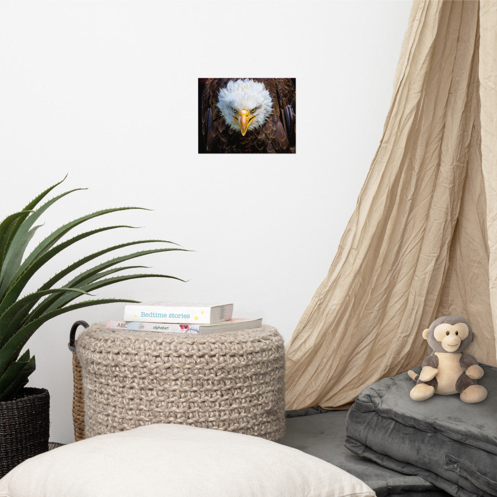 Bald Eagle Portrait Close-up Loose Wall Art Print, 8" X 10"
