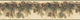 Wyola Olive Pinecone Forest Border Wallpaper Bolt