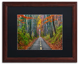 'Paths' Matted Framed Canvas Art by CATeyes