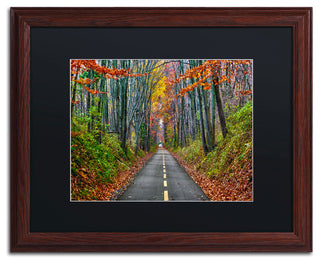 'Paths' Matted Framed Canvas Art by CATeyes