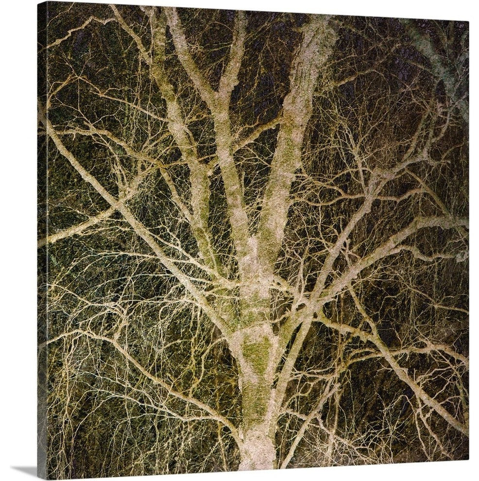 "Woodland Gold I" Wrapped Canvas Art Print, 20"x20"x1.5"