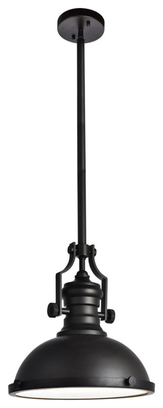 Living District LD5001D13ORB Orchid 1-Light Pendant