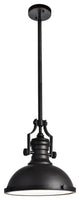 Living District LD5001D13ORB Orchid 1-Light Pendant