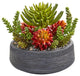 12" Succulent Garden Artificial Plant in Bowl