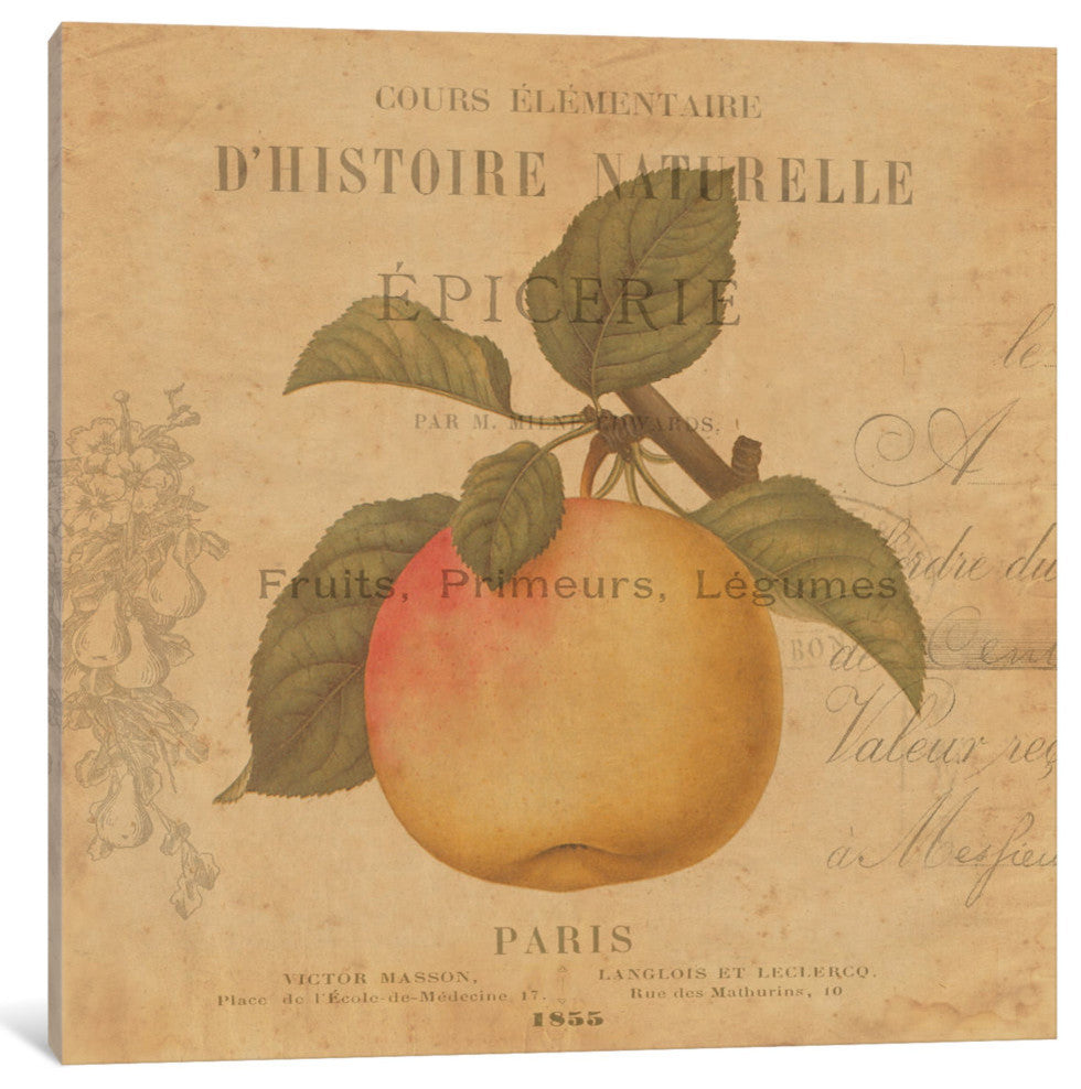 "Pomme" by Deborah Devellier, Canvas Print, 12"x12"