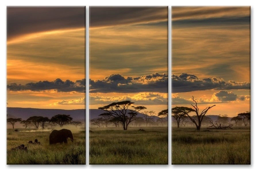 Africa'' Canvas Wall Decor Set 3-Panels