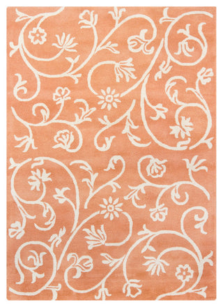 Bajrang Transitional Area Rug, 7'x10'