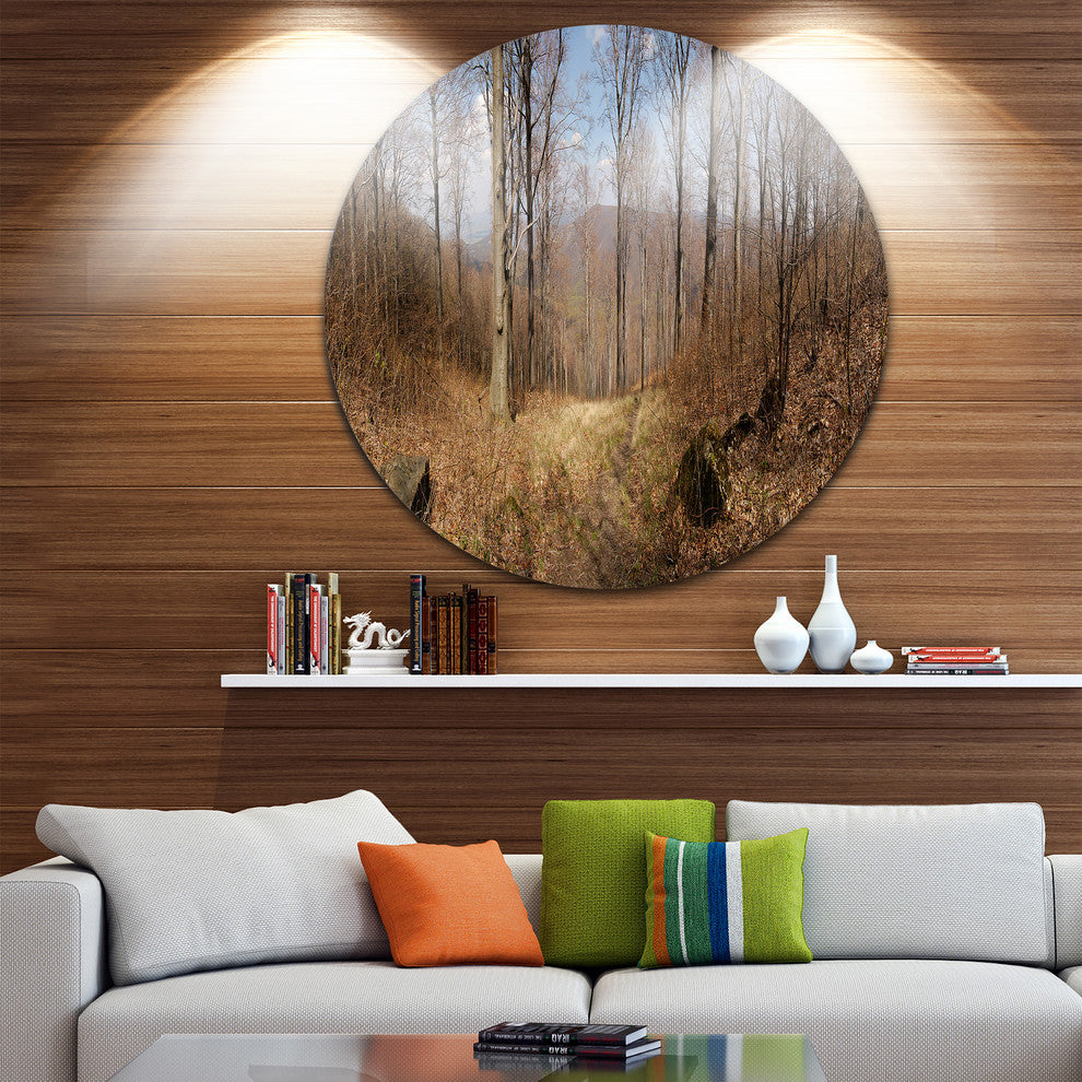 Forest Scenery With Bare Trees, Modern Forest Disc Metal Wall Art, 23"