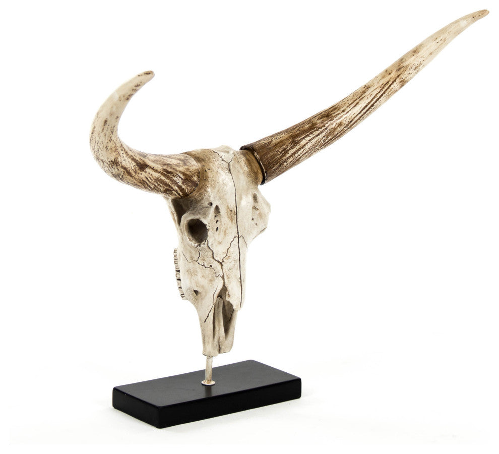 Bull Skull With Base