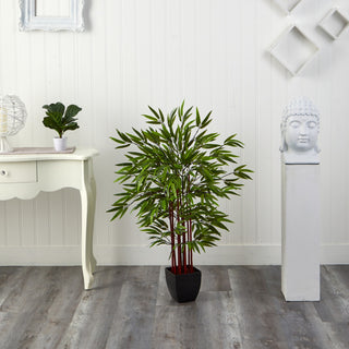 Lifestyle image showing the plant in a home setting with decor for scale and ambiance.
