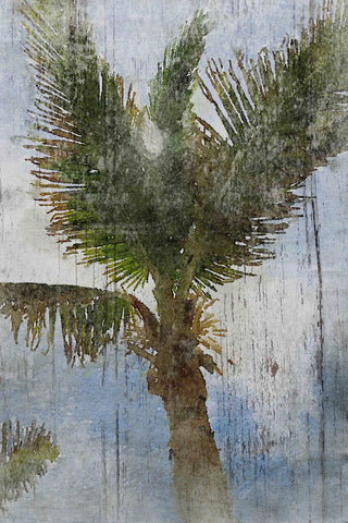 "Tropical Windy Day 22" Print on Canvas by Irena Orlov