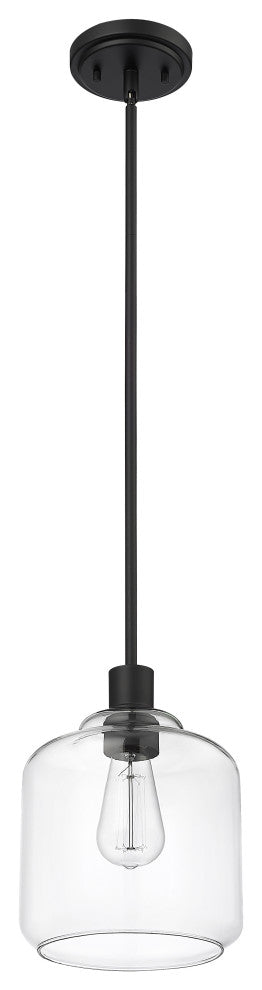 Asheville 1-Light 8" Pendant Light, Matte Black