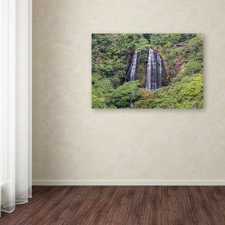 Pierre Leclerc 'Opaekaa Falls' Canvas Art, 19x12