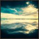 The Photography, 48.25"x48.25", Espresso Natural Wood Gallery Floater