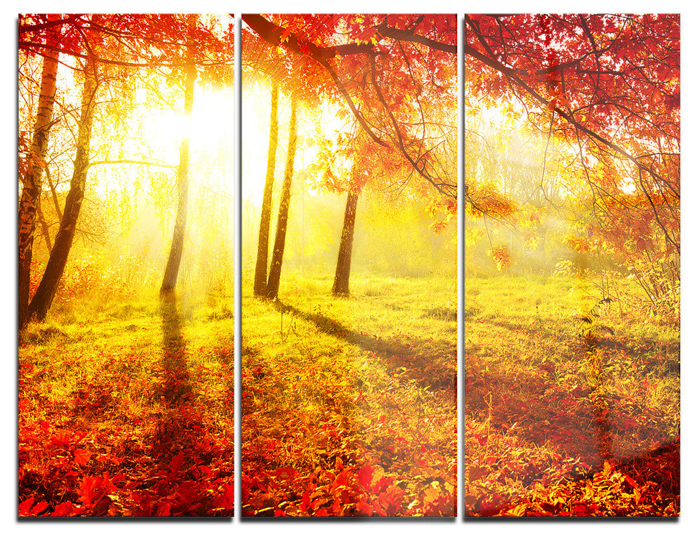"Autumnal Park" Photography Glossy Metal Wall Art, 3 Panels, 36"x28"