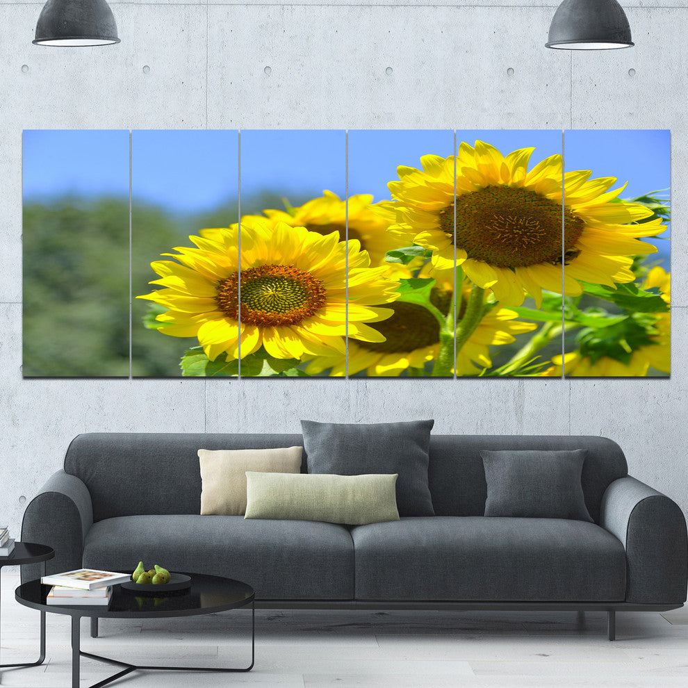 Beautiful Sunflowers View, Floral Canvas Art Print, 70"x28", 6 Panels
