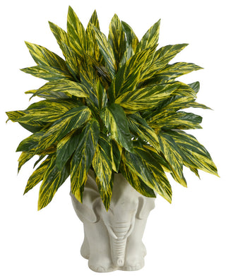 Shows full product on white background; front-facing; no overlays; entire planter and plant visible.