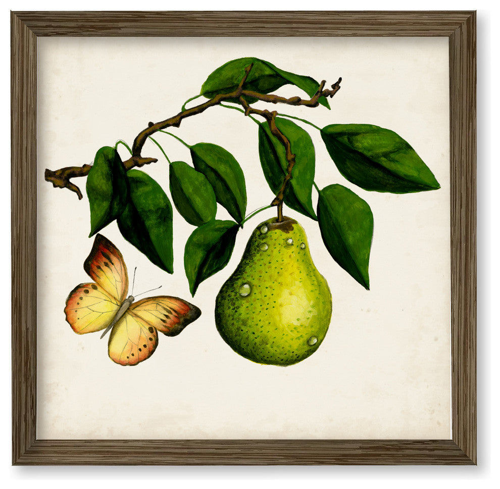 "Fruit with Butterfiles I" Gallery Collection Framed Canvas Wall Art, 18"x18"