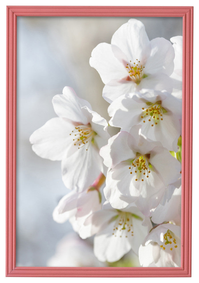 Sweet Simplicity Rustic Frame, Pink