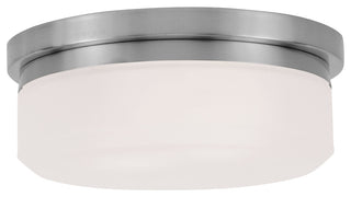 Stratus Ceiling Mount or Wall Mount, Bronze, Brushed Nickel