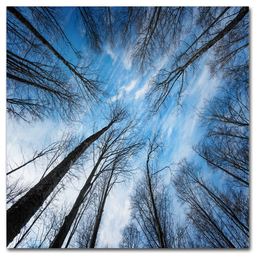 Philippe Sainte-Laudy 'Blue Crunch' Canvas Art, 14"x14"