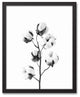 Black and White Cotton Stem 16x20 Black Framed Canvas