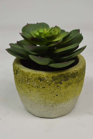 White background with full view of the planter; alternate_white_full (not lifestyle).
