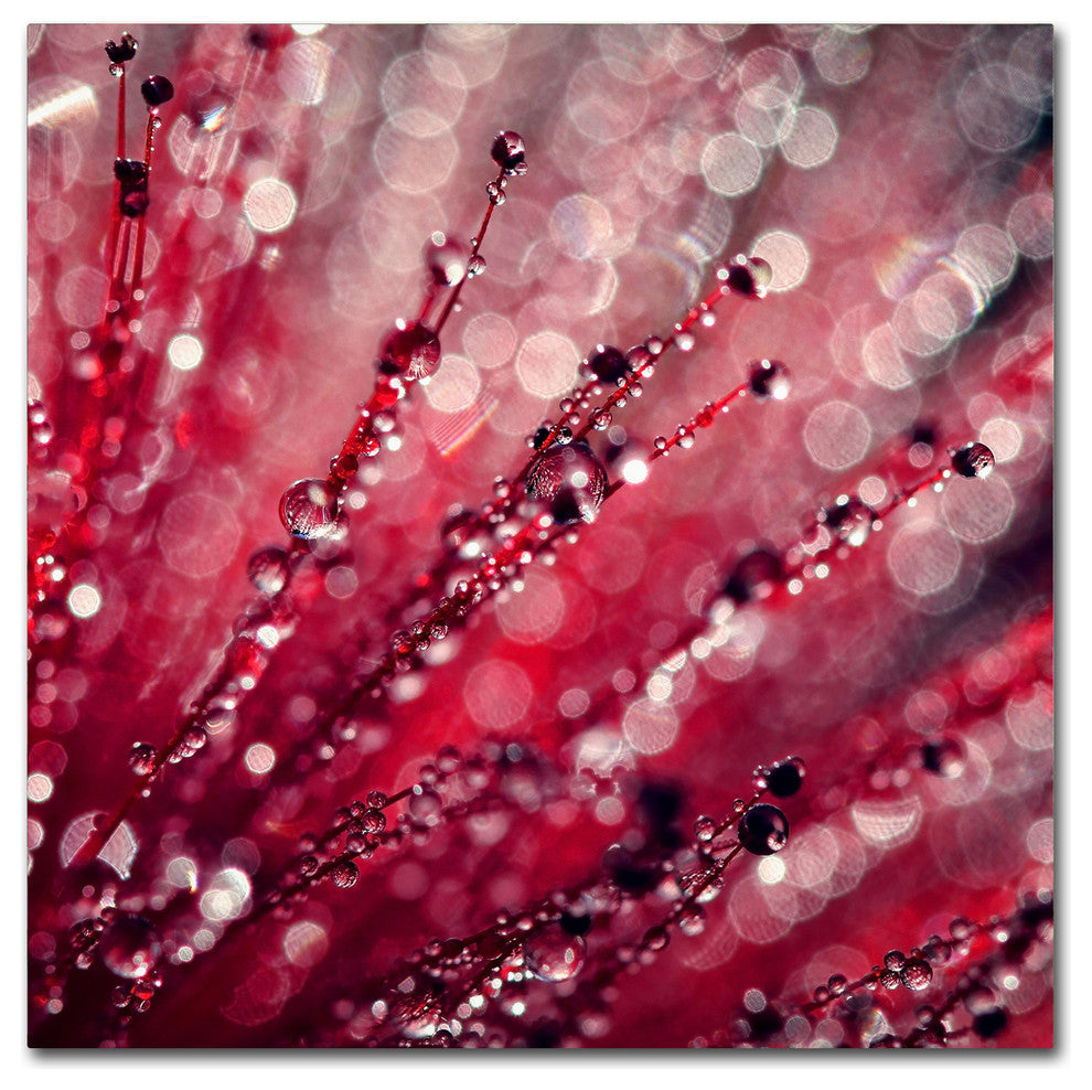 Beata Czyzowska Young 'Red Melody' Canvas Art, 18"x18"