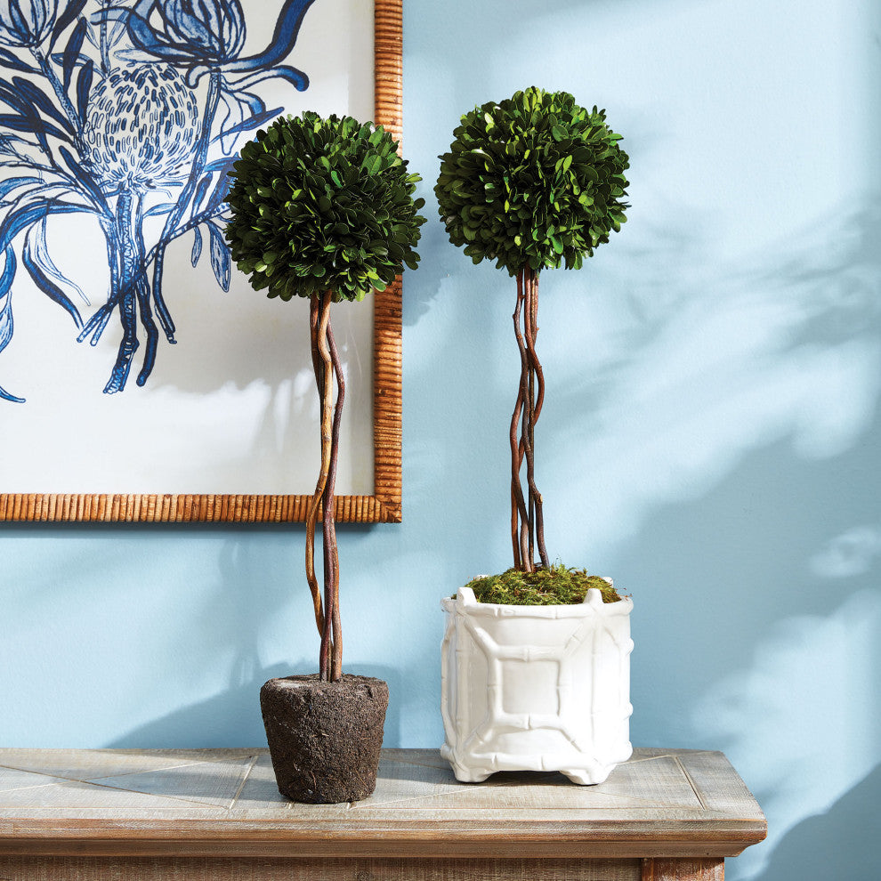 Boxwood Single Sphere Topiary Drop-In, 24"