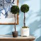 Boxwood Single Sphere Topiary Drop-In, 24"
