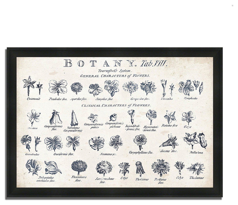 "Botany Tab Viii Indigo And White" By Wild Apple Portfolio,Framed Painting Print