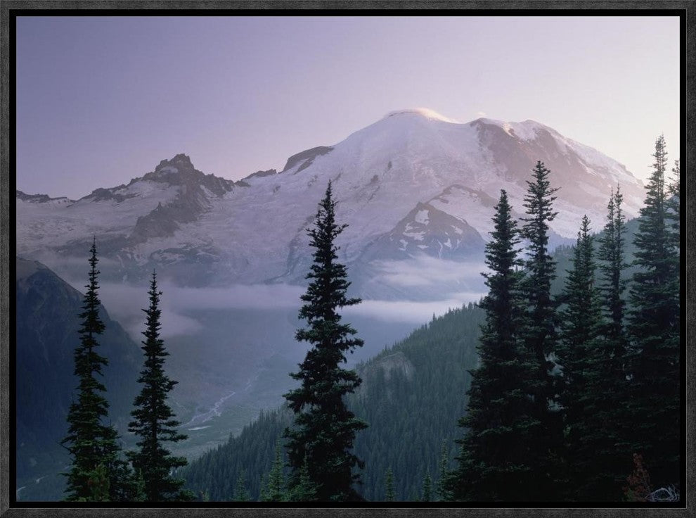 Mt Rainier As Seen At Sunrise, Mt Rainier National Park, Washington, 16"x12"