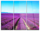 "Lavender Flower Blooming Fields" Metal Wall Art, 3 Panels, 36"x28"