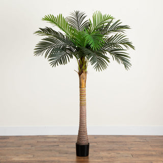 Lifestyle shot showing the planted tree in an indoor room.