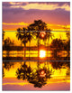 Trees Mirrored in Flooded Waters, Landscape Wall Art on Canvas, 28x36, 3 Panels