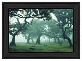 Enchanted Forest II 3 Black Framed Print Wall Art