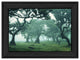 Enchanted Forest II 3 Black Framed Print Wall Art