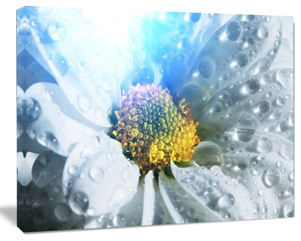 Large White Flower with Raindrops, Floral Canvas Art Print, 40"x30"