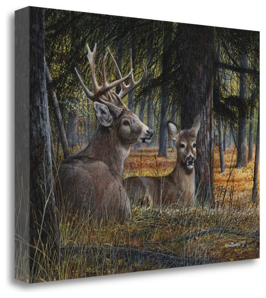 "Autumn Royalty" By Kevin Daniel, Giclee Print on Gallery Wrap Canvas