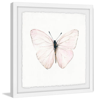 "Translucent Pink Wings" Framed Painting Print, 12"x12"