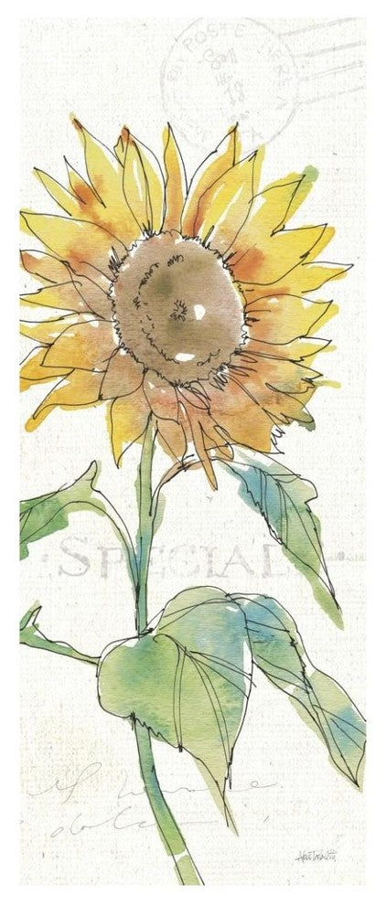"Tuscan Elegance V" Digital Paper Print by Anne Tavoletti, 26"x62"