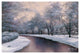 "Winter Sunlight" Digital Paper Print by Diane Romanello, 20"x14"