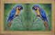 Betsy Drake Blue Macaws 30 Inch By 50 Inch Comfort Floor Mat