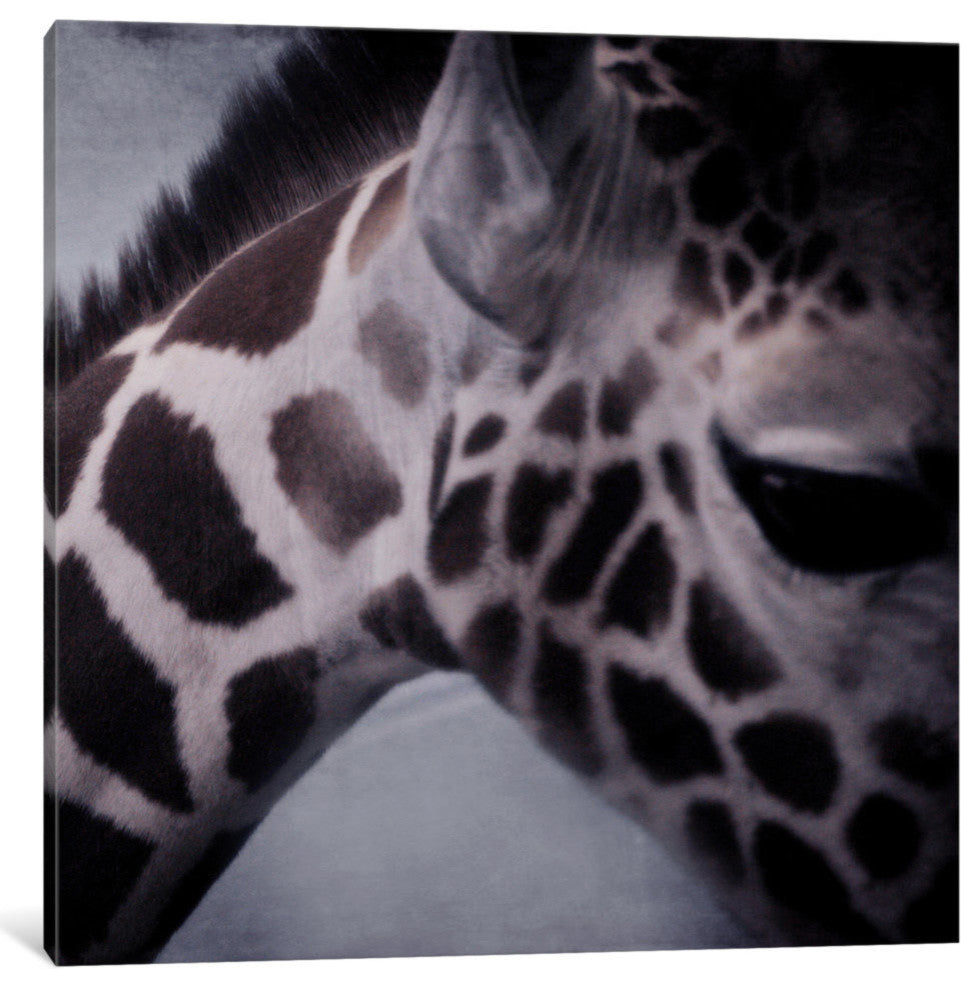 "Giraffe II" by Chelsea Victoria, 12x12x1.5