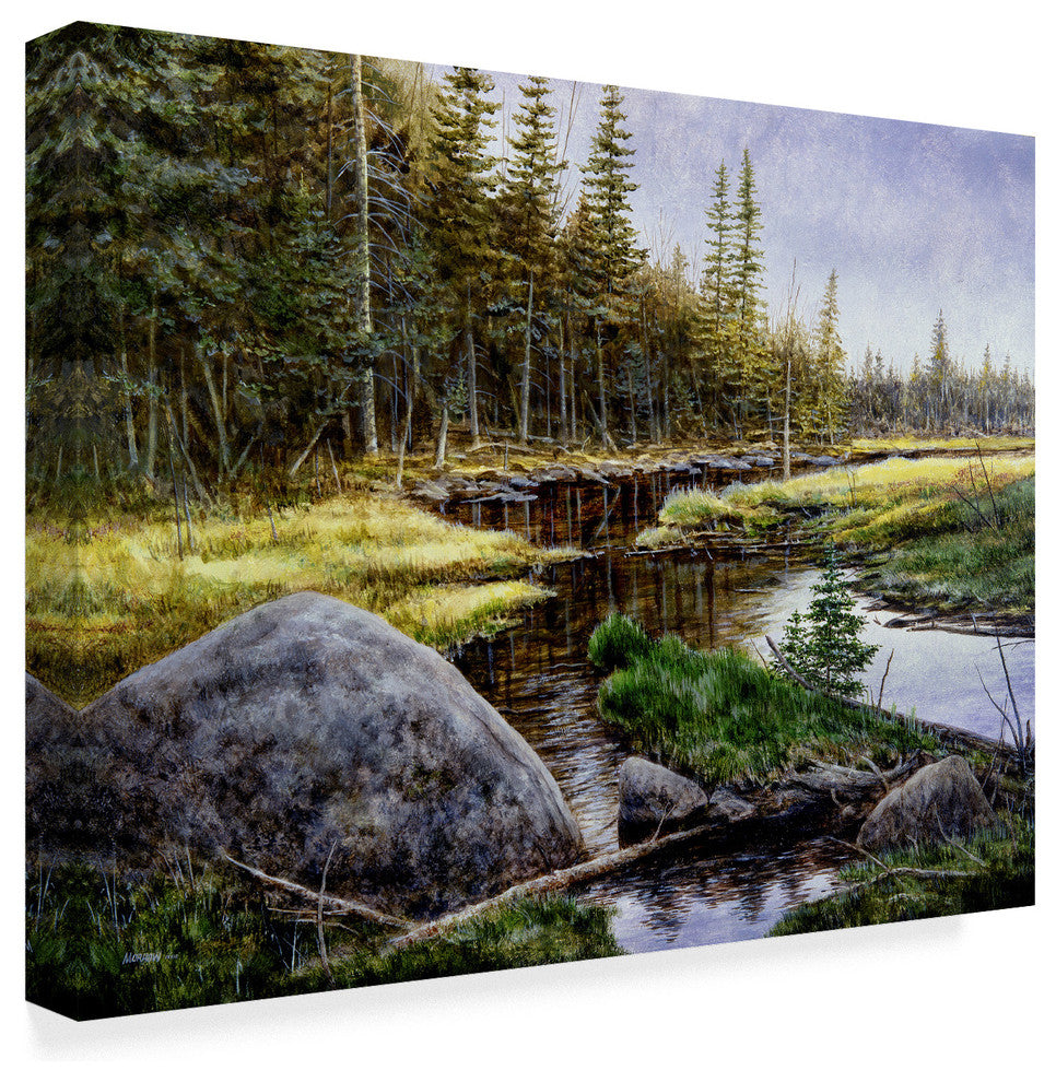 "Adirondack Gold" by John Morrow, Canvas Art, 19"x14"