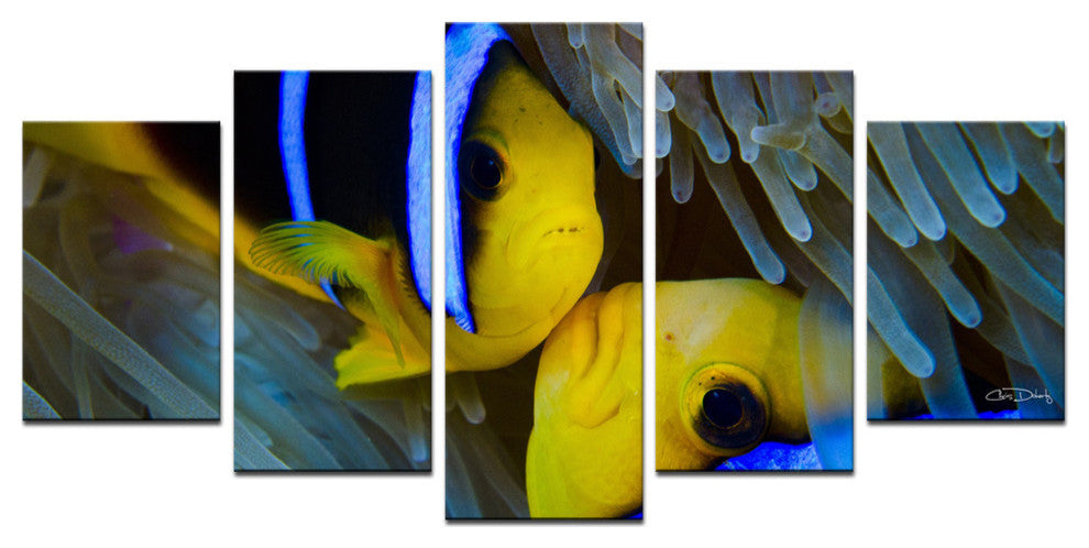 Ready2hangart Chris Doherty ''Underwater Rays Duo'' 5-piece Canvas Wall Art