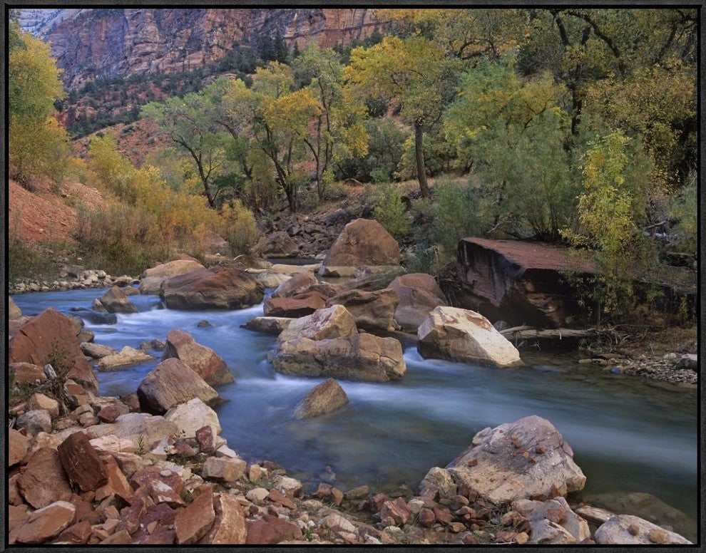 Virgin River Flowing Through Canyon In Autumn, Zion National Park, Utah, 32"x24"